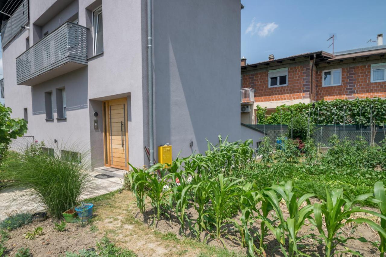 זאגרב Pomodoro Rooms מראה חיצוני תמונה