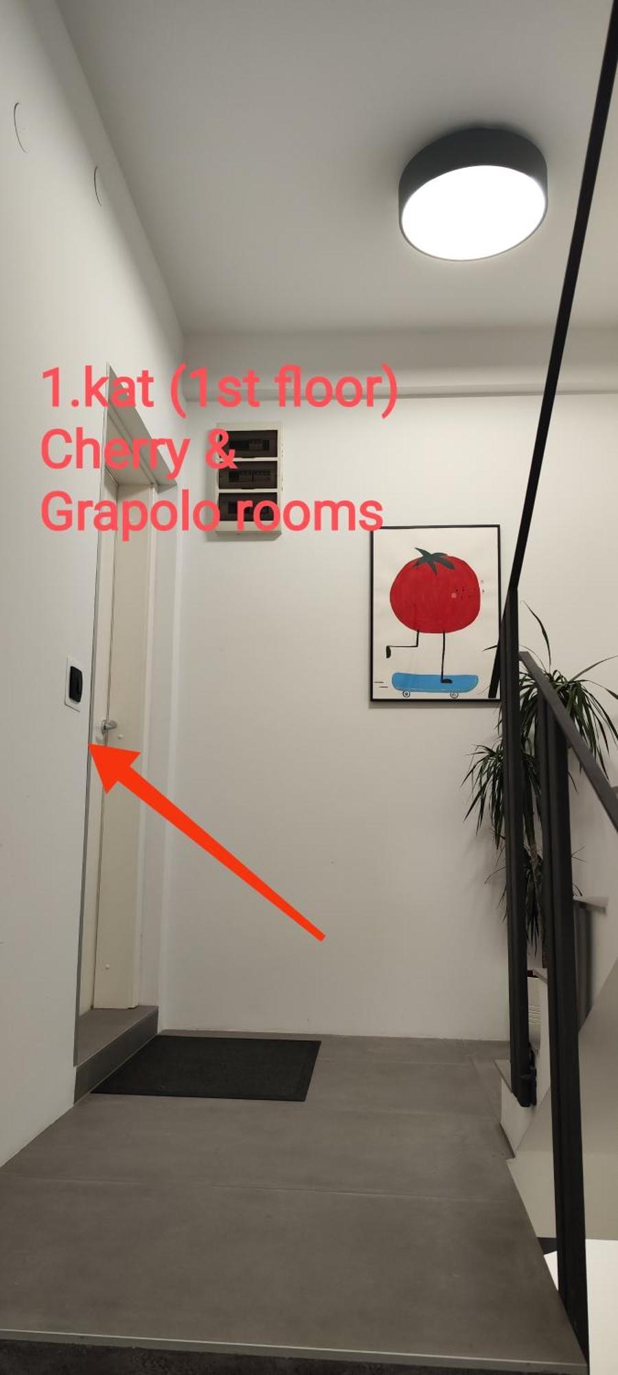 זאגרב Pomodoro Rooms מראה חיצוני תמונה